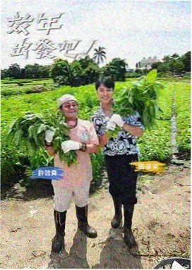 沙子烘干机中等水分工况筒体温度分布图
